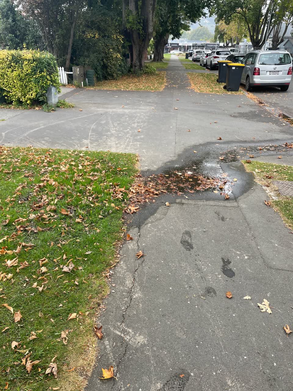 The photograph attached to this water leak report