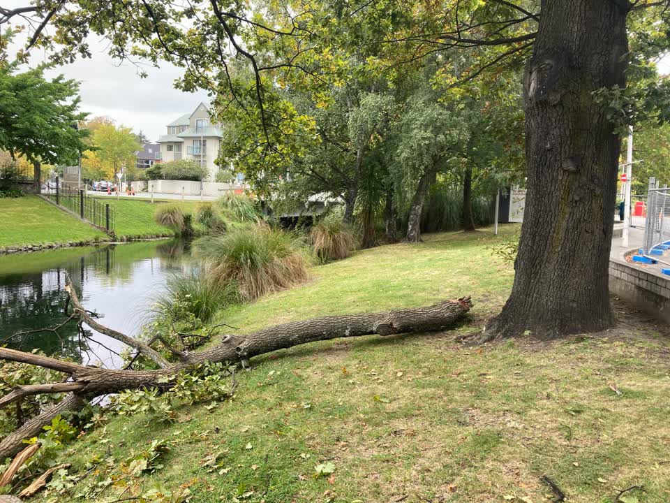 The photograph attached to this parks report