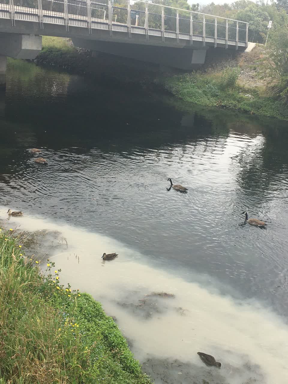 The photograph attached to this wastewater/stormwater report
