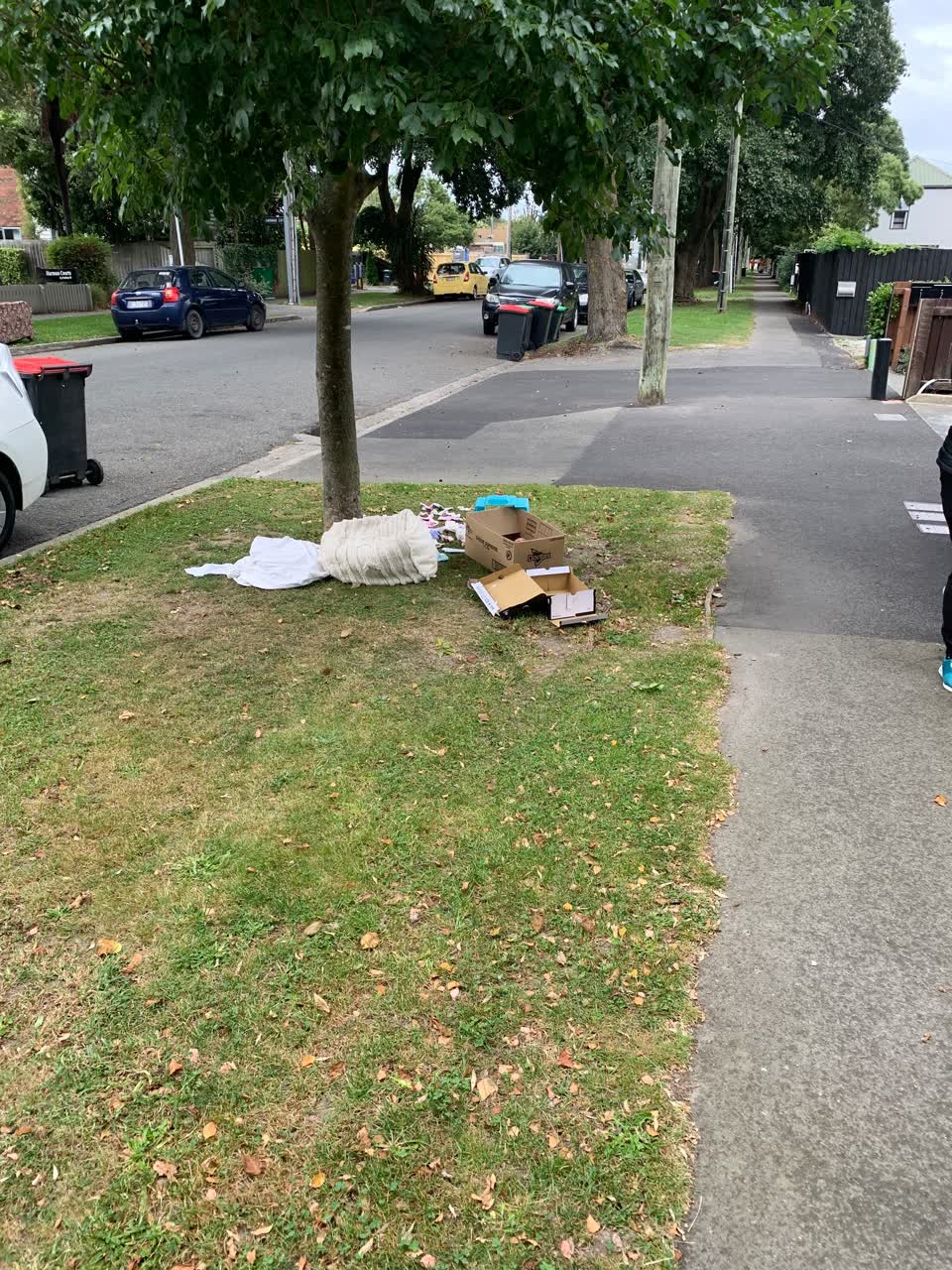 The photograph attached to this rubbish/recycling report