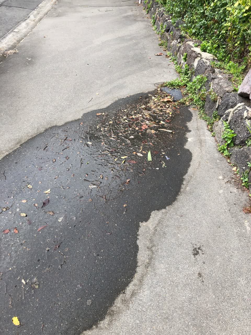 The photograph attached to this water leak report