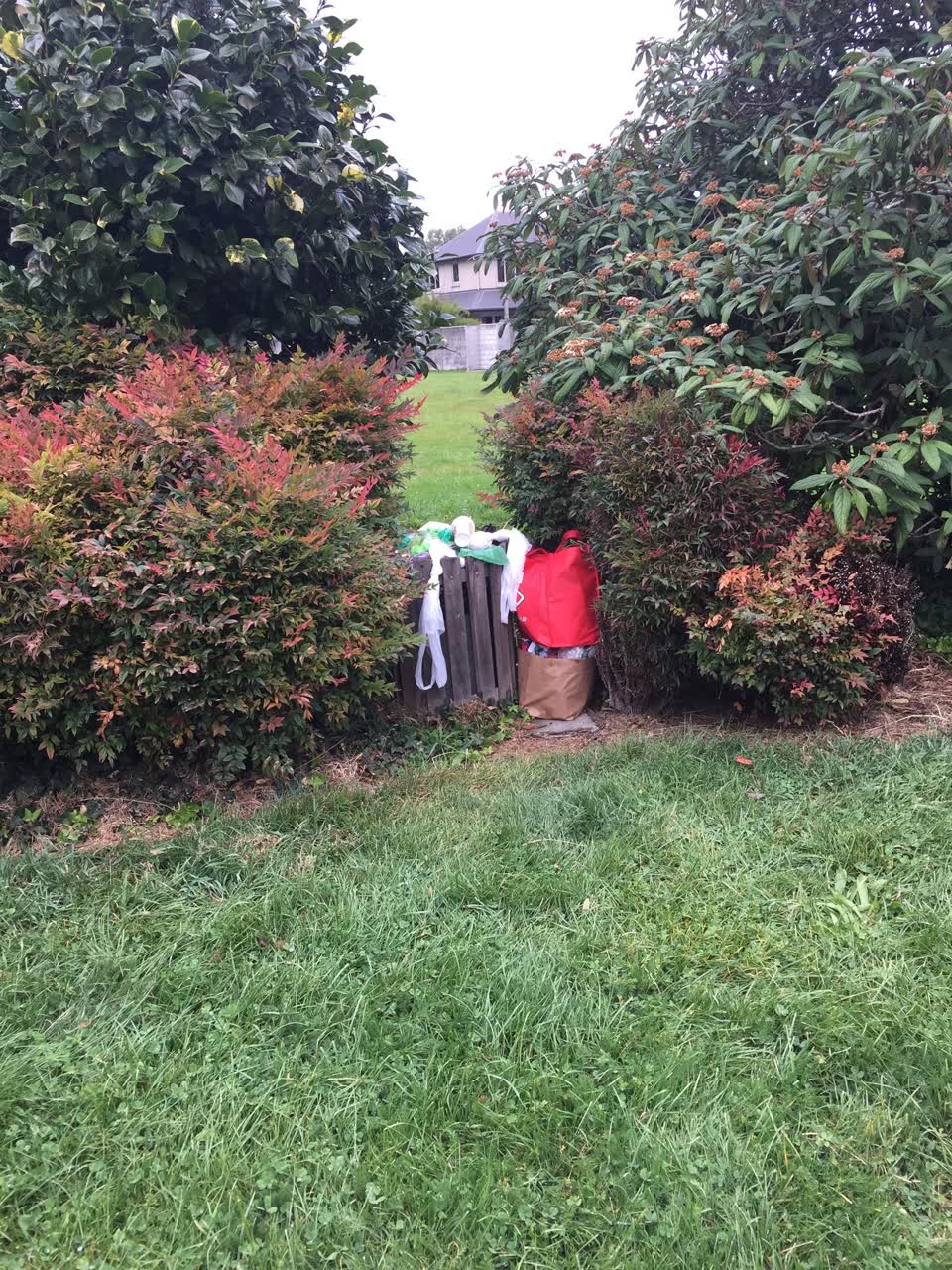 The photograph attached to this parks report