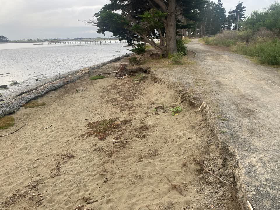 The photograph attached to this parks report