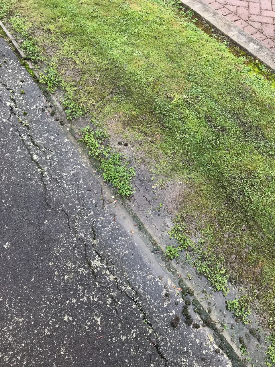 The photograph attached to this water leak report
