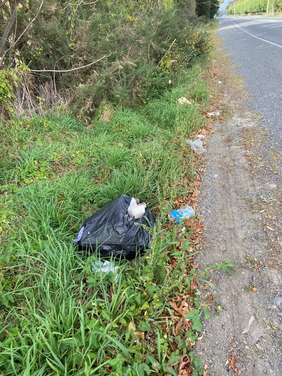 The photograph attached to this rubbish/recycling report