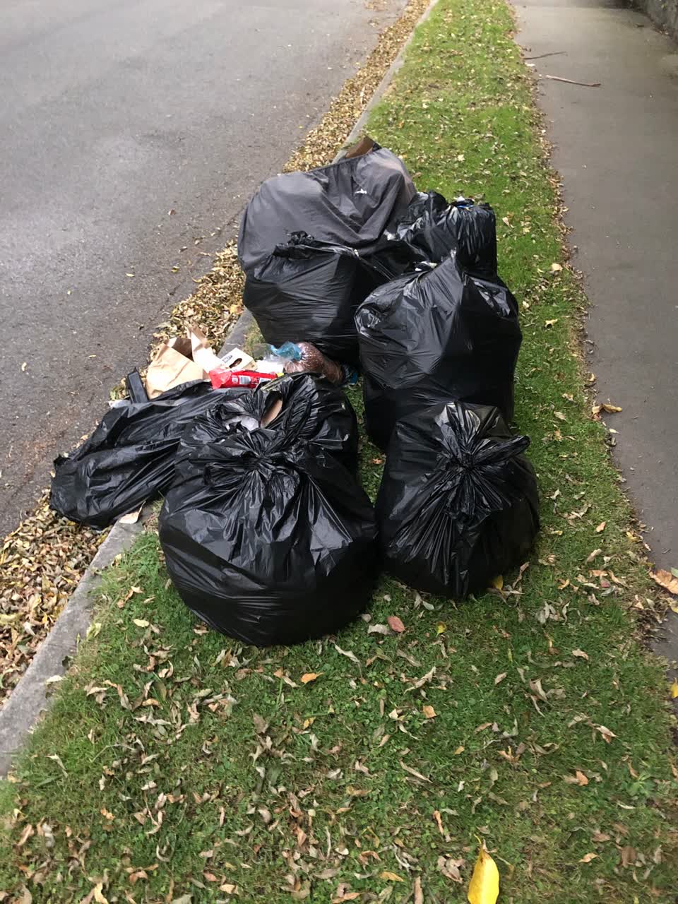 The photograph attached to this rubbish/recycling report