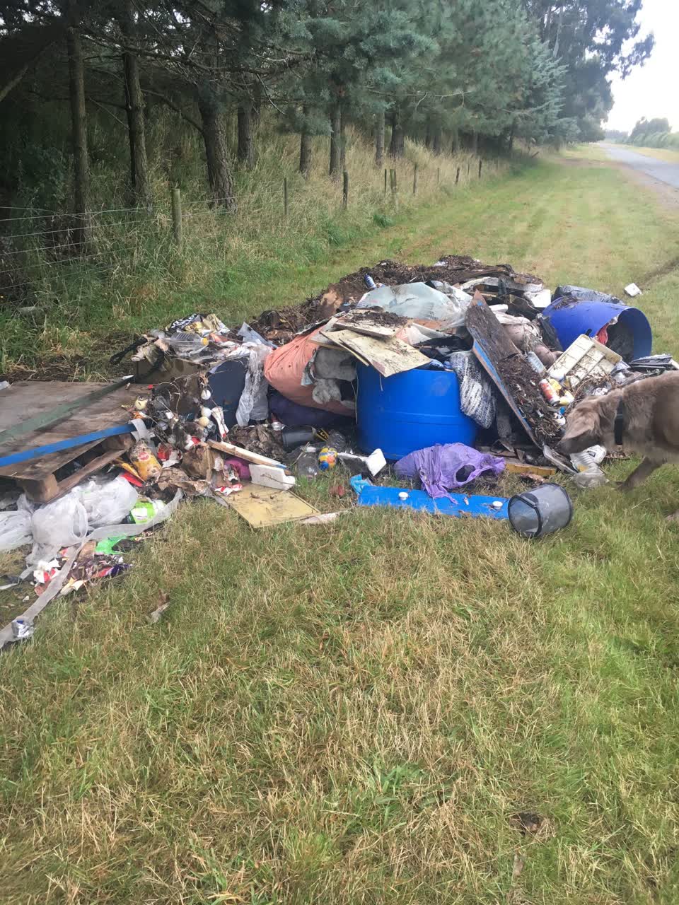 The photograph attached to this rubbish/recycling report