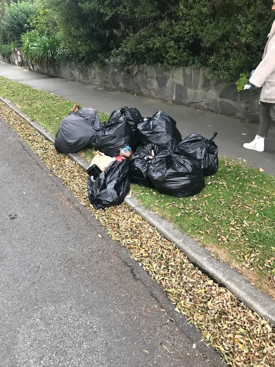 The photograph attached to this rubbish/recycling report