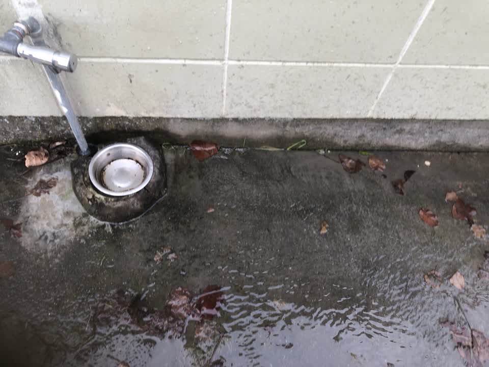 The photograph attached to this water leak report