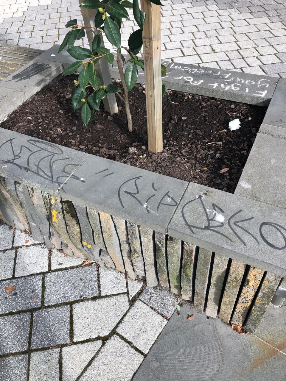 The photograph attached to this graffiti report