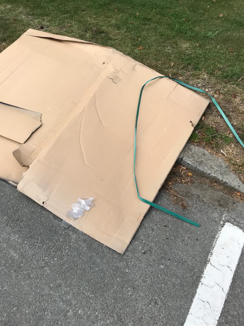 The photograph attached to this rubbish/recycling report