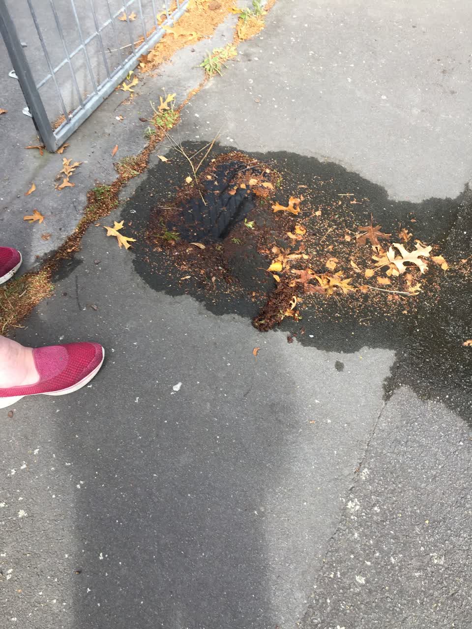 The photograph attached to this wastewater/stormwater report