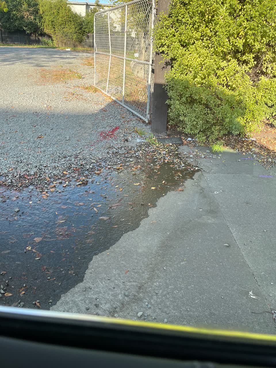 The photograph attached to this water leak report