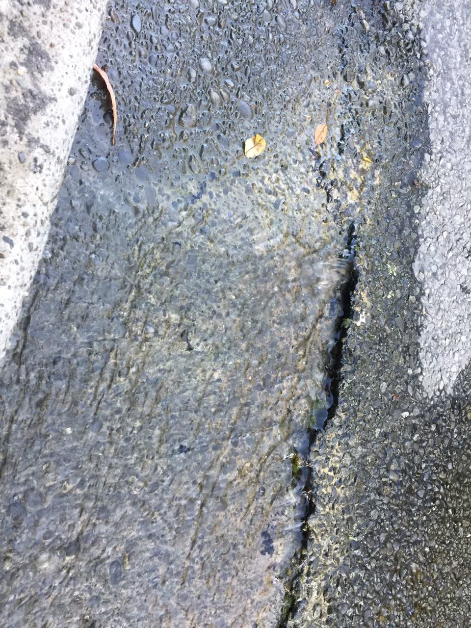 The photograph attached to this water leak report