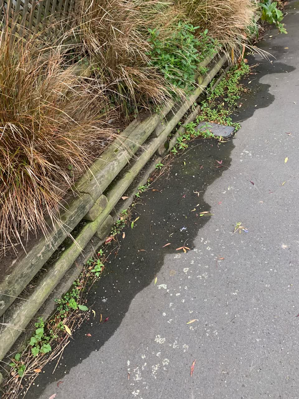 The photograph attached to this water leak report