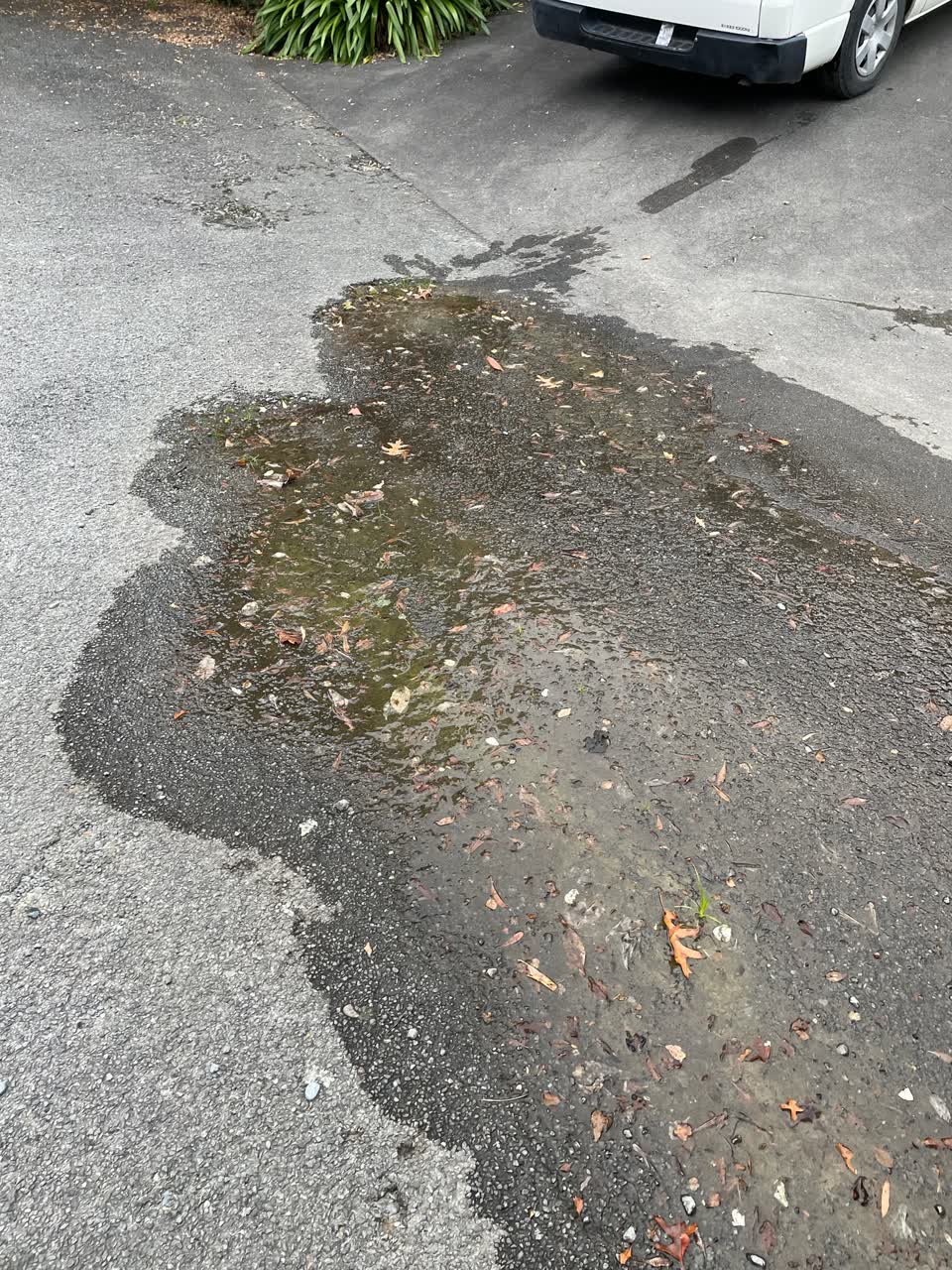 The photograph attached to this sewer - leak / blockage report