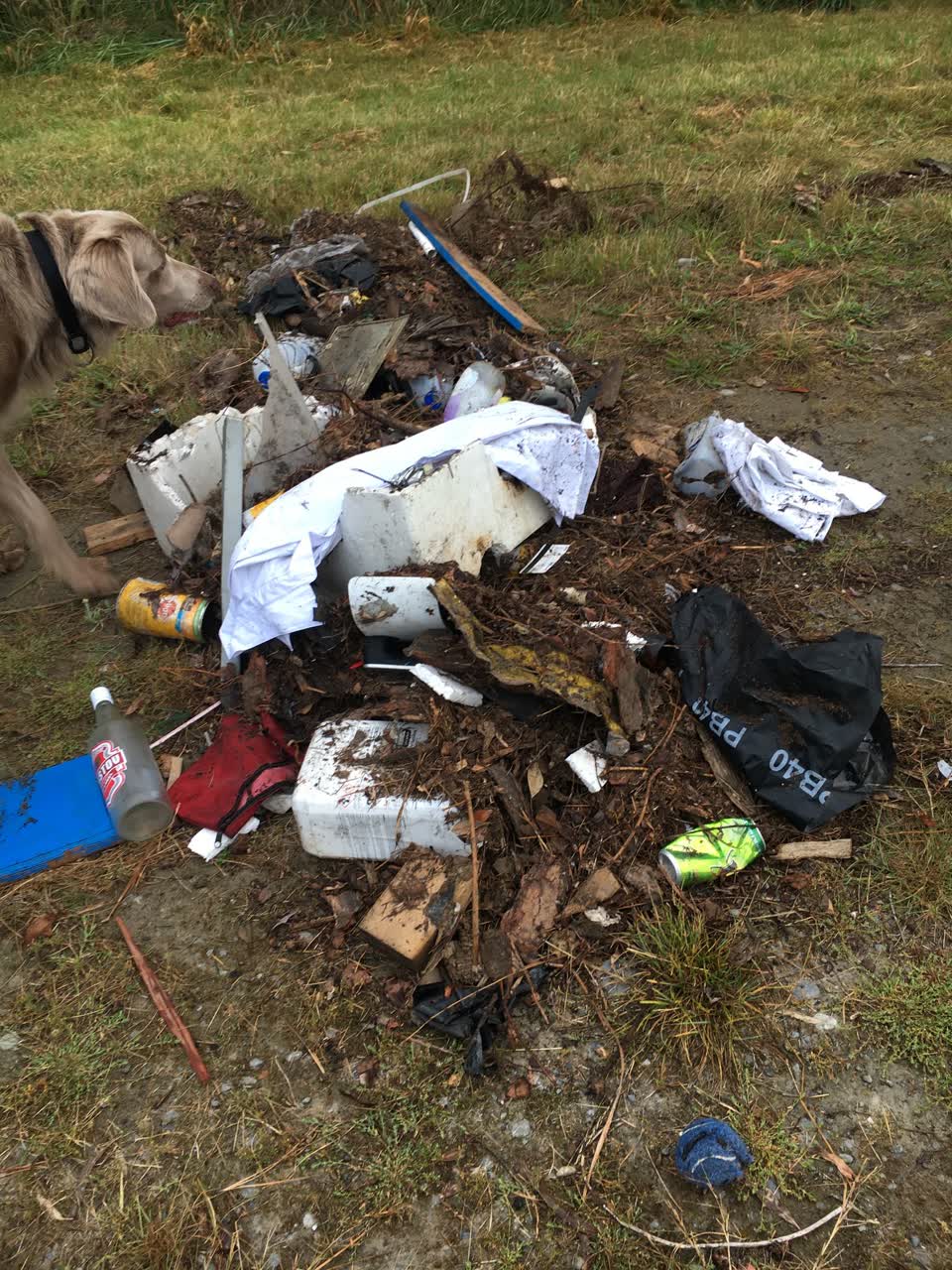 The photograph attached to this rubbish/recycling report