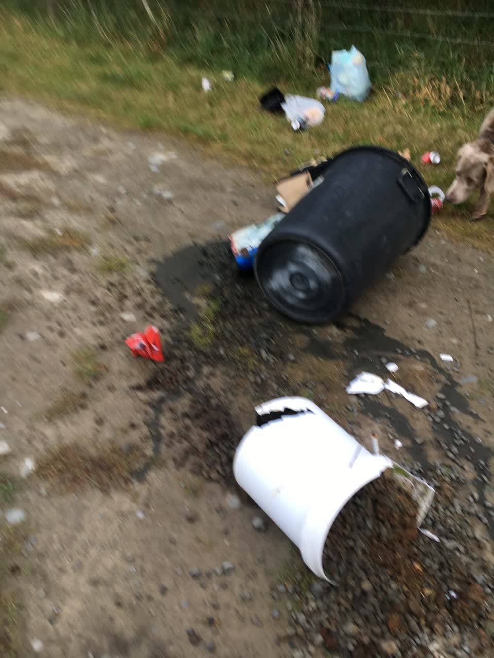 The photograph attached to this rubbish/recycling report