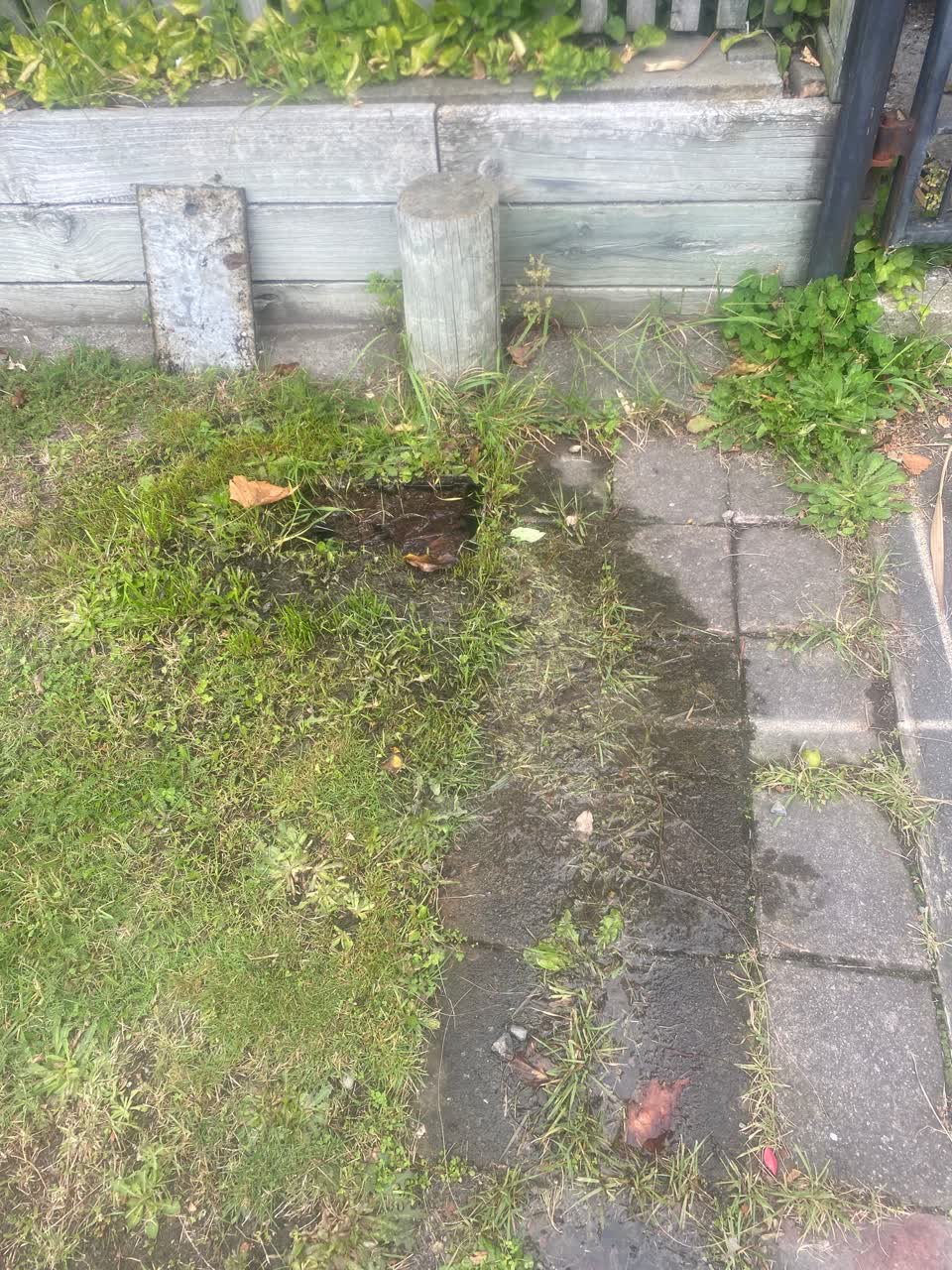 The photograph attached to this water leak report