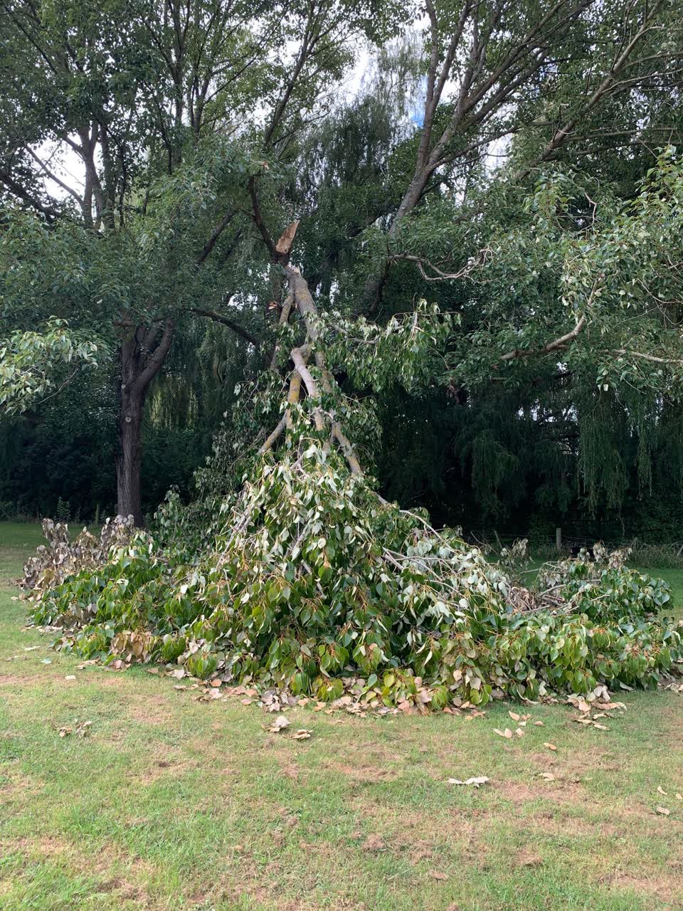The photograph attached to this parks report