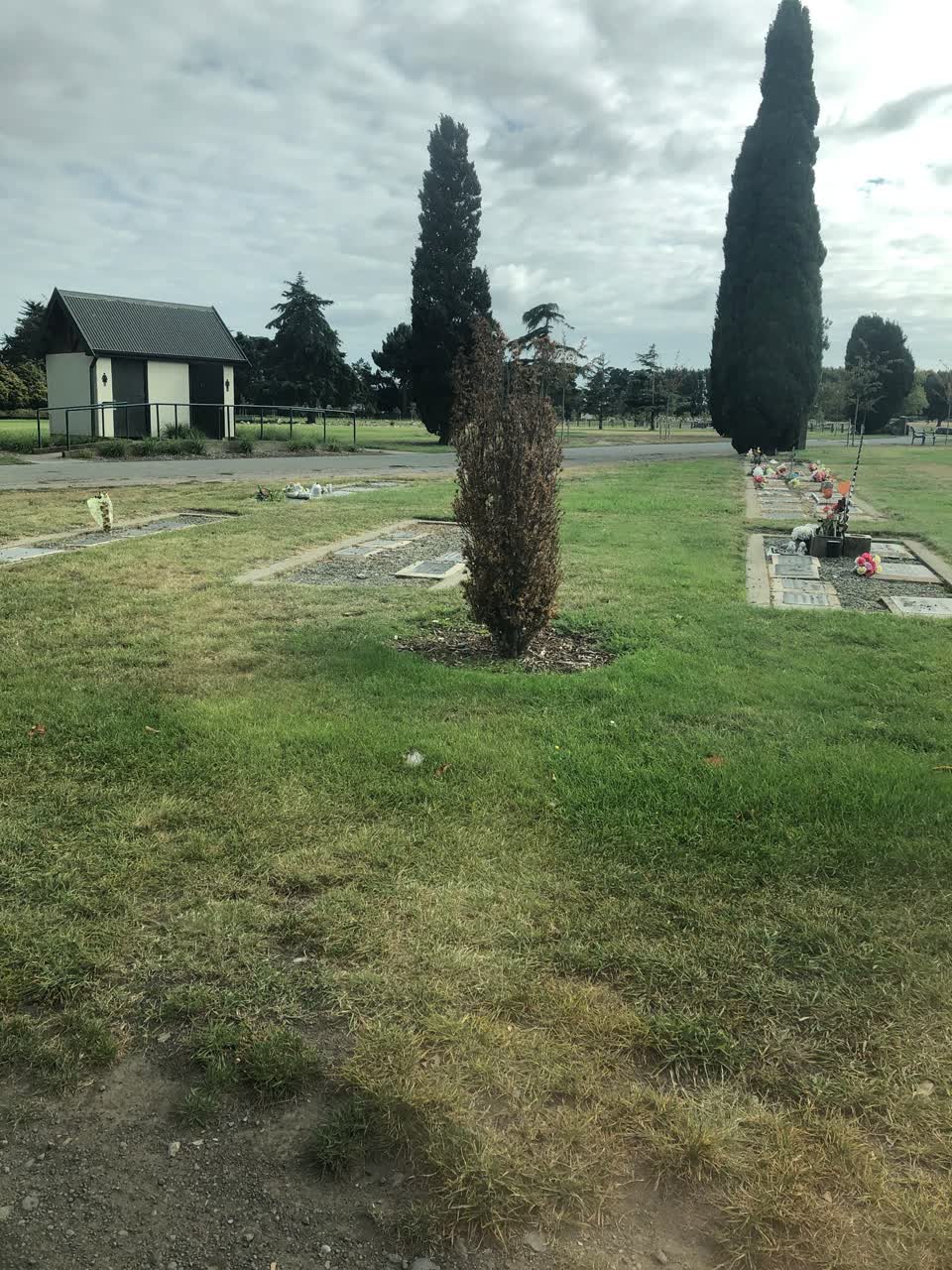 The photograph attached to this parks report