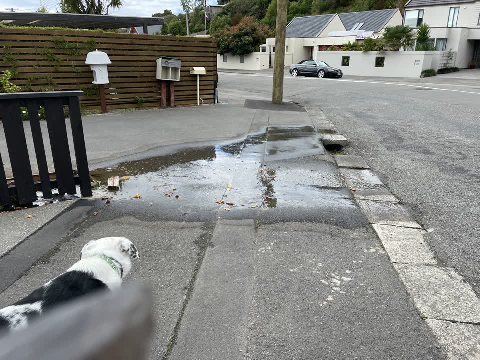 The photograph attached to this water leak report
