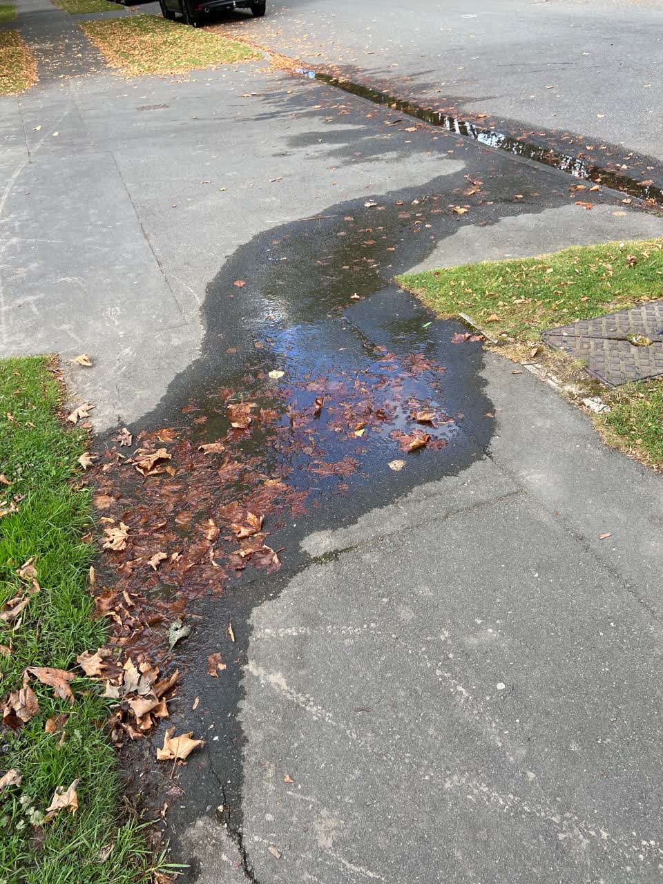 The photograph attached to this water leak report