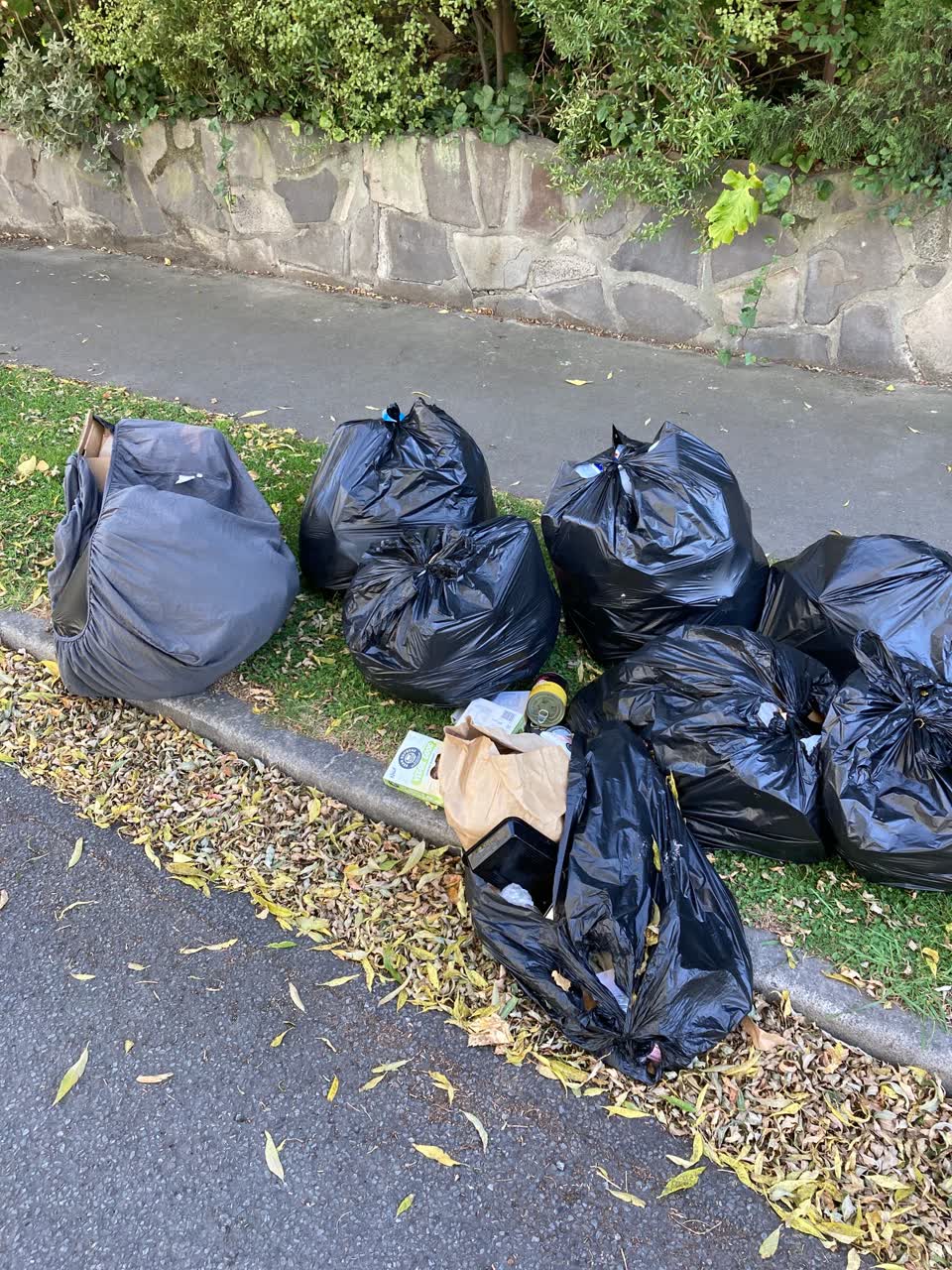 The photograph attached to this rubbish/recycling report
