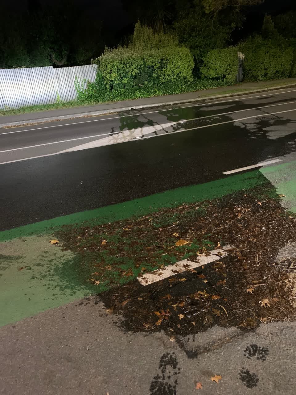 The photograph attached to this water leak report