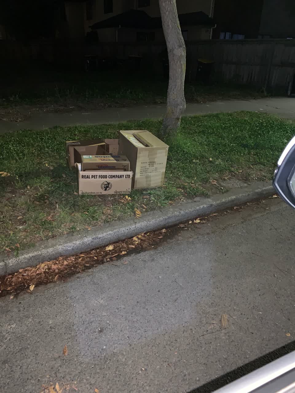 The photograph attached to this rubbish/recycling report