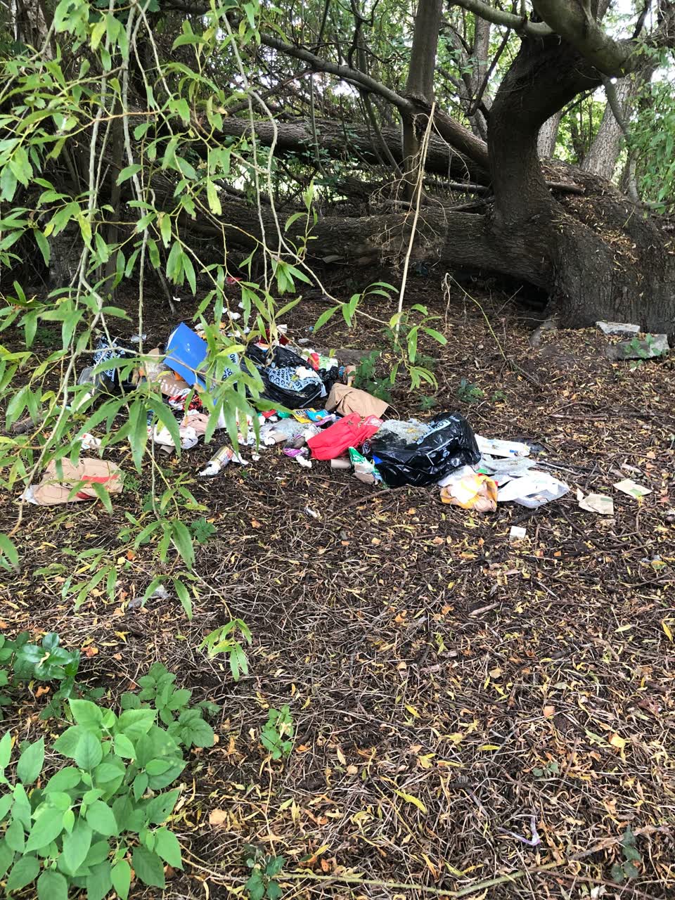 The photograph attached to this rubbish/recycling report