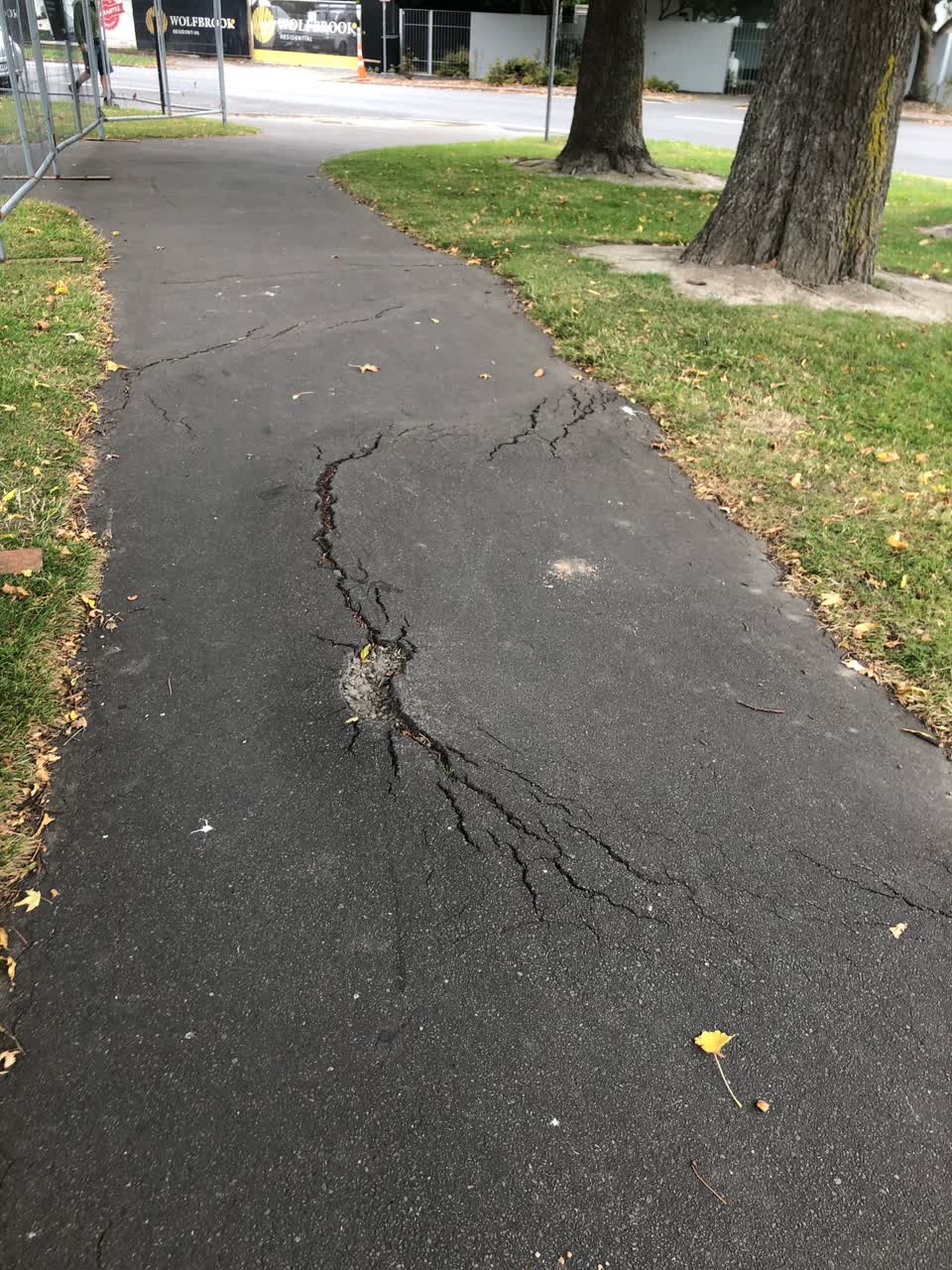 The photograph attached to this roading/streets report