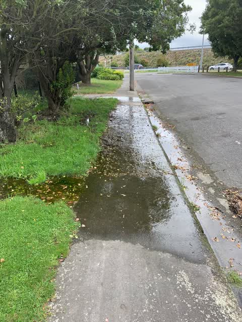 Water Leak — a report photo
