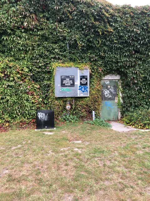 Graffiti, a report photo