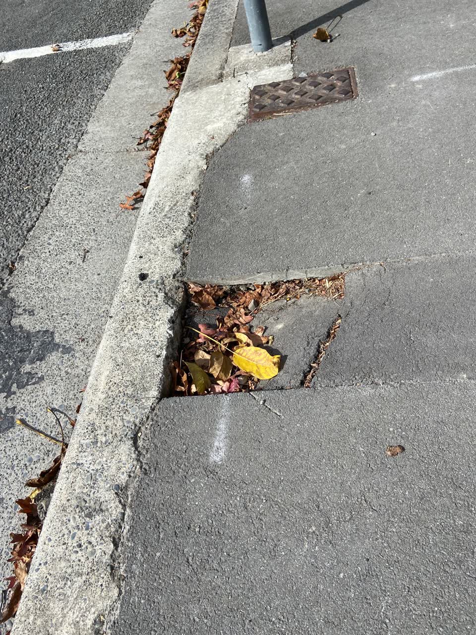 The photograph attached to this roading/streets report