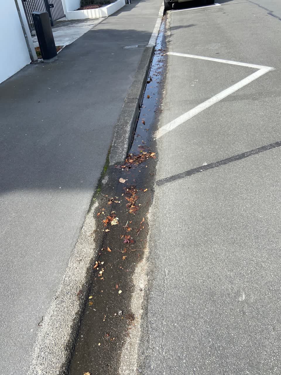 The photograph attached to this water leak report