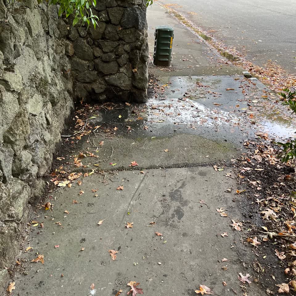 The photograph attached to this water leak report