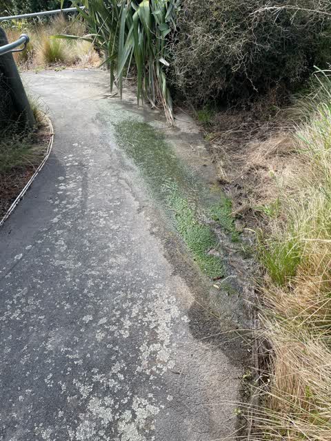 Parks, a report photo