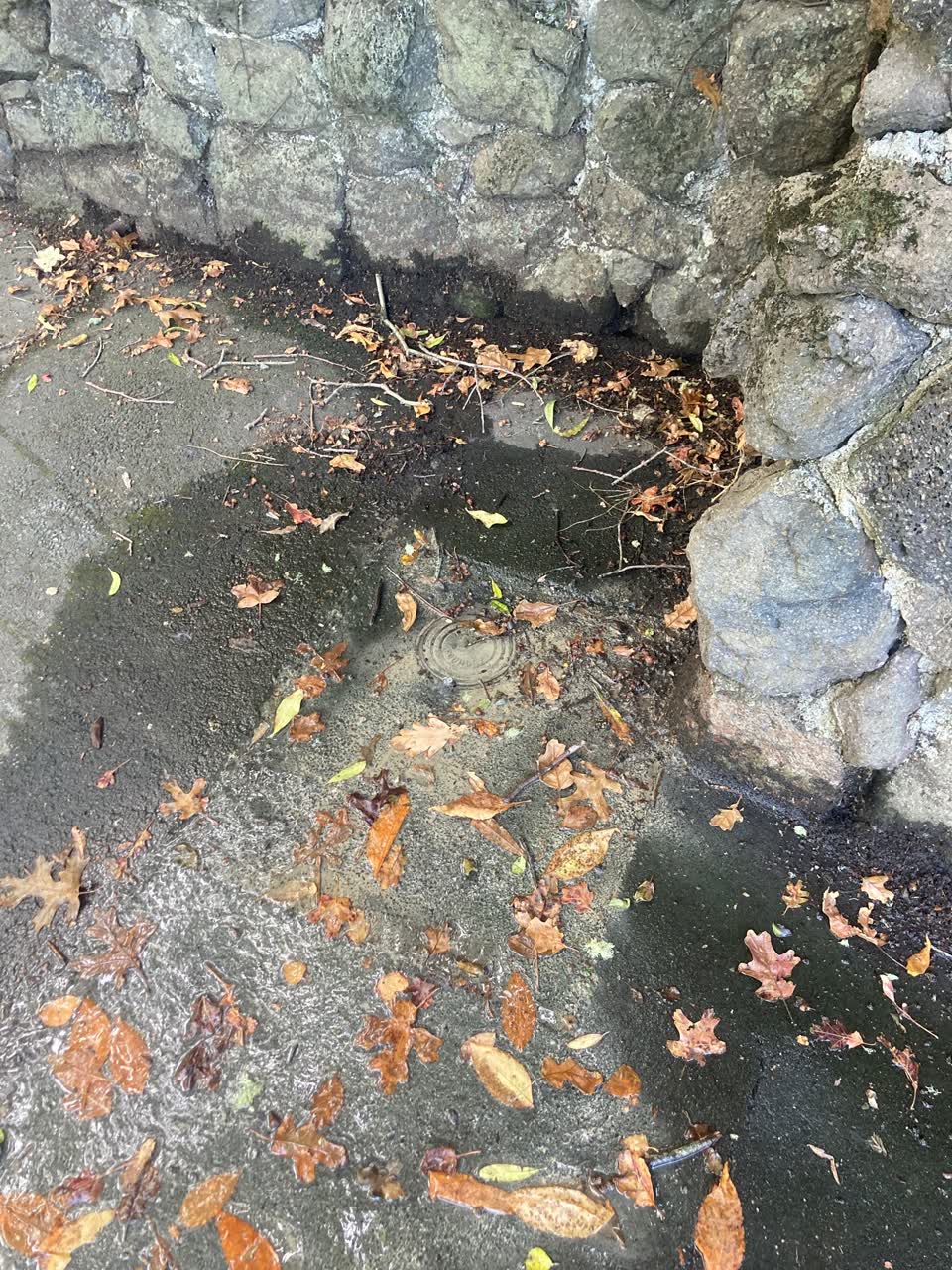 The photograph attached to this water leak report