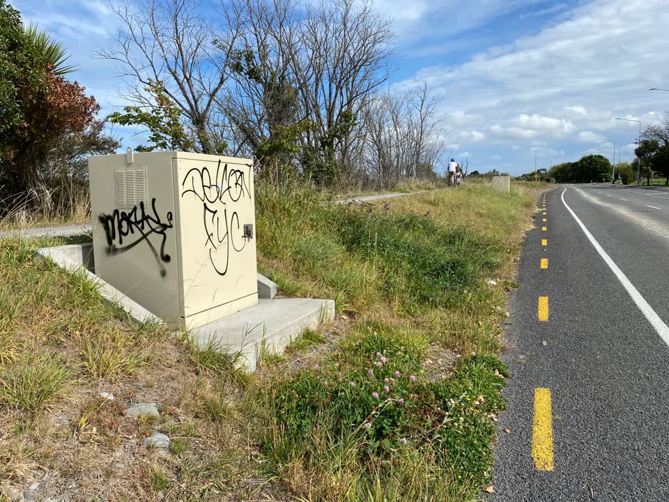 The photograph attached to this parks report