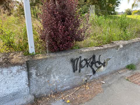 Graffiti, a report photo