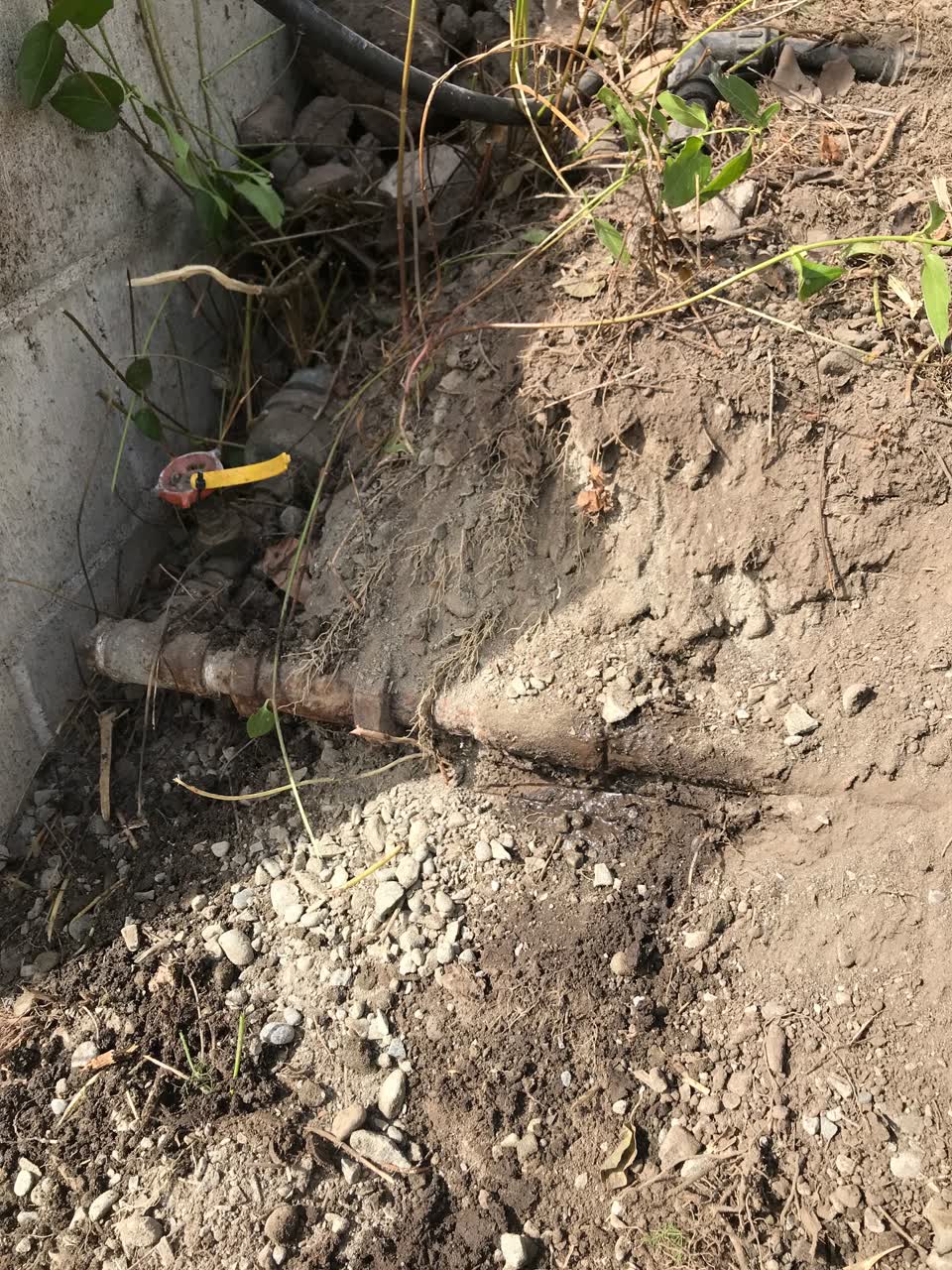 The photograph attached to this water leak report