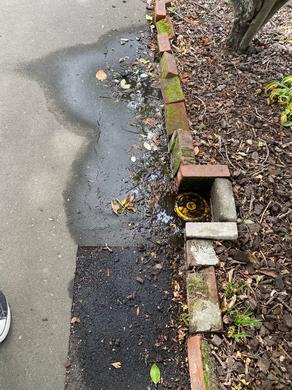 The photograph attached to this water leak report