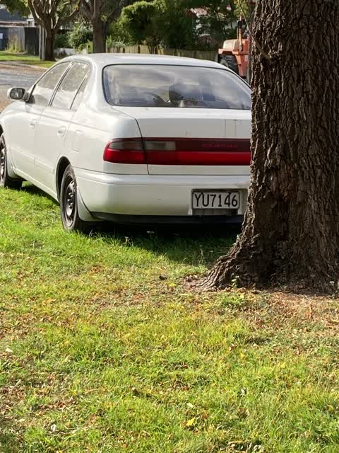 Roading/Streets, a report photo