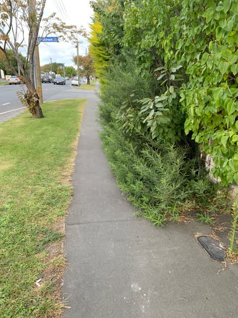 Roading/Streets, a report photo