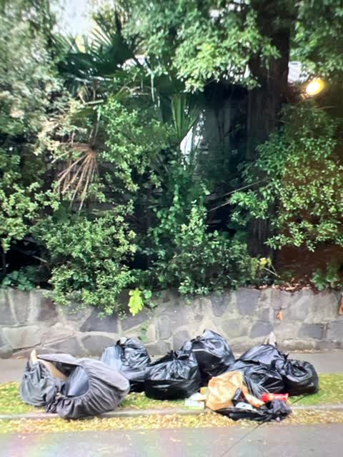 Rubbish/Recycling — a report photo