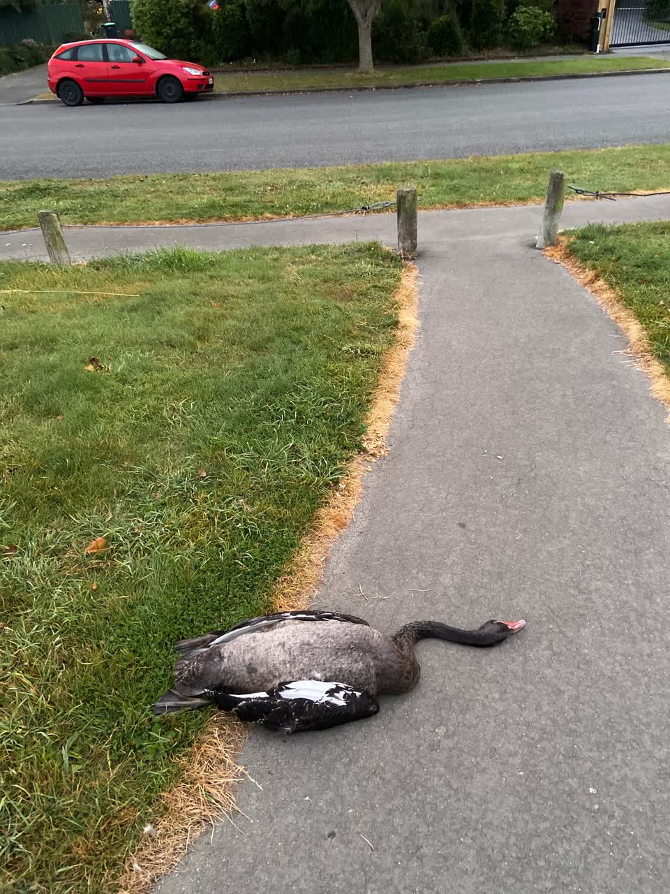 The photograph attached to this parks report