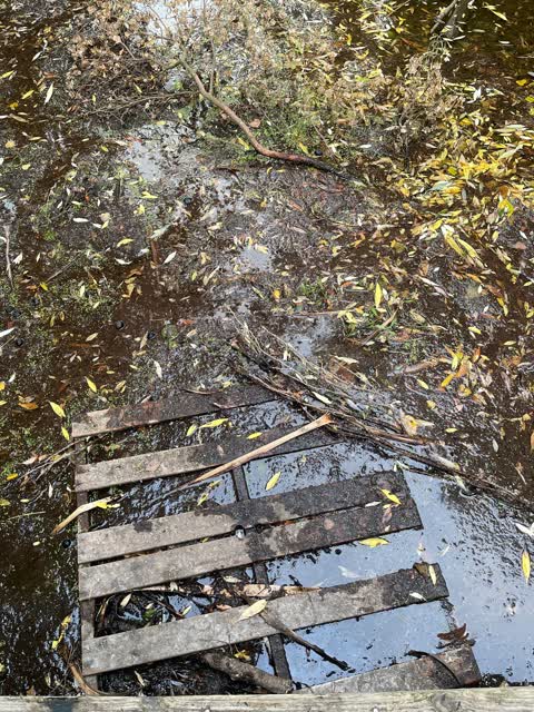 Parks — a report photo