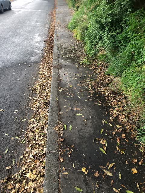 Roading/Streets, a report photo