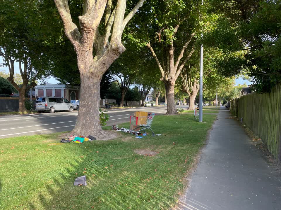 The photograph attached to this rubbish/recycling report